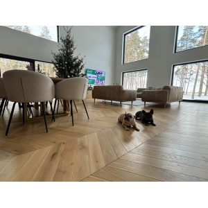 chevron hea pilt 3 scaled 1 scaled