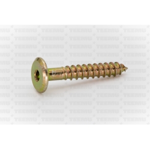 dekoratiivkruvi sisekuuskant 63x 30 puidukeere zn kollane