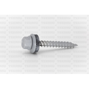 Katusekruvi terav 4.8x50 C3 Ruspert RR21/RAL7040