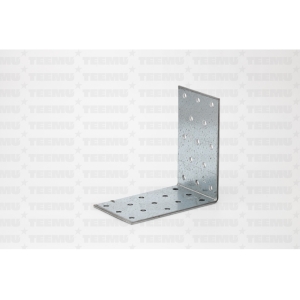 kinnitusnurgik 100x100x 60x25 eta