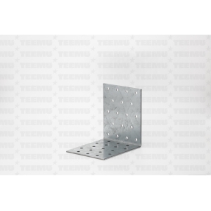 kinnitusnurgik 100x100x 80x25 eta