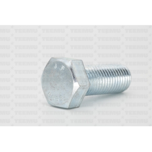 kuuskantpolt din 933 taiskeere m16x 65 zn 88