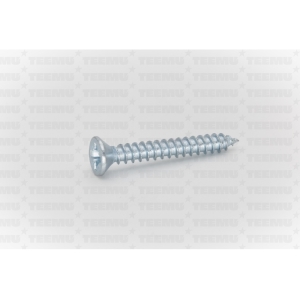 plekikruvi peitpea din 7982 35x25 zn pz2