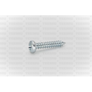 Plekikruvi ümarpea DIN 7981 3.5x19 TX15 ZN