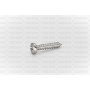 Plekikruvi ümarpea DIN 7981 4.2x22 A2 PH