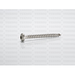 Puidukruvi ümarpea 4.0x45 A2-70 TX20