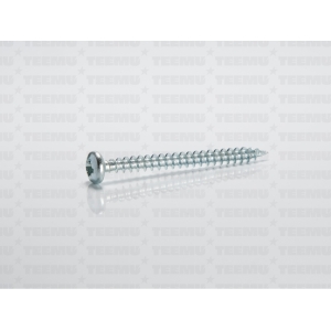 Puidukruvi ümarpea 4.0x45 ZN PZ2