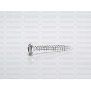 Puidukruvi ümarpea 4.5x25 Ruspert TX25