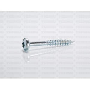 Puidukruvi ümarpea 6.0x 50/30 ZN TX25