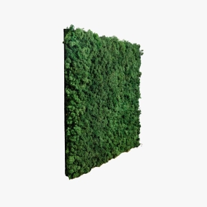 akupanel moss green side 600x600 1