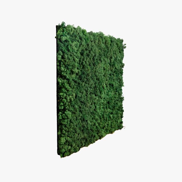akupanel moss green side 600x600 1