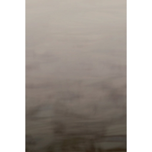 Non-woven mural wallpaper OND22062, 200 x 300 cm, Sublime, Onirique, Decoprint