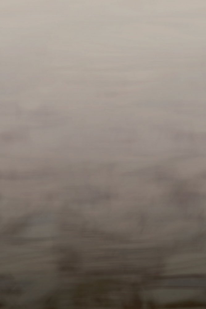 Non-woven mural wallpaper OND22062, 200 x 300 cm, Sublime, Onirique, Decoprint