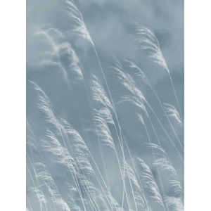 Non-woven mural wallpaper Grass, 300902, Waterlands, 210 x 280 cm, Waterfront, Eijffinger