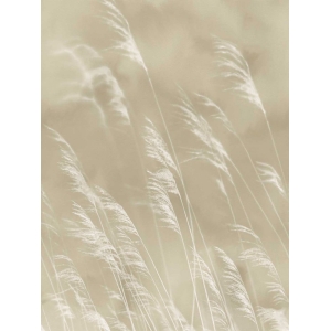 Non-woven mural wallpaper Grass, 300900, Waterlands, 210 x 280 cm, Waterfront, Eijffinger