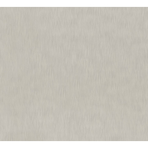 1 18889 4001860533574