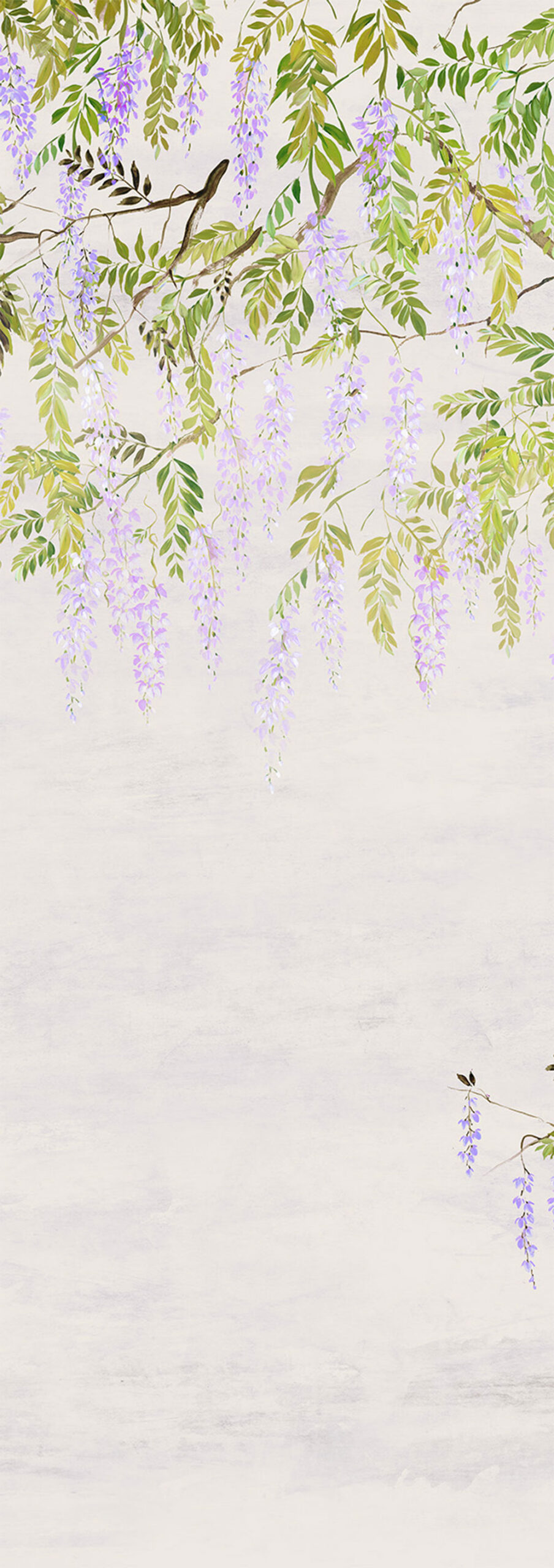 Fliistapeet, flowers, trees, wisteria, DG4PAT1032-260, Wall Designs IV, Khroma by Masureel