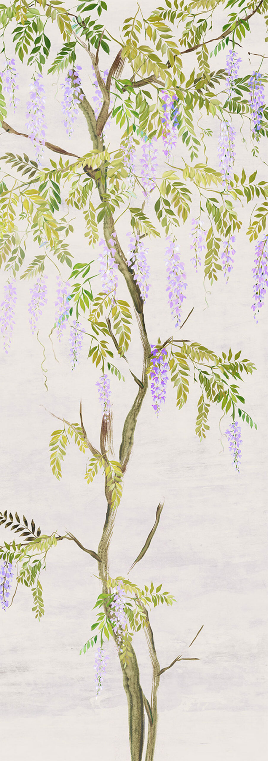 Fliistapeet, flowers, trees, wisteria, DG4PAT1033-300, Wall Designs IV, Khroma by Masureel