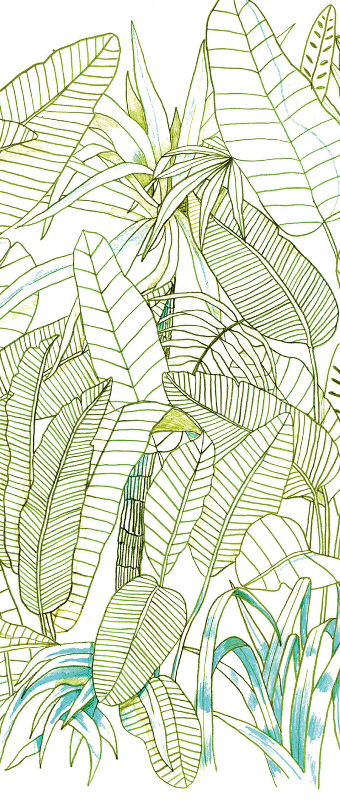 Green wall mural, Leaves, DG3GRA1011, Wall Designs III, Khroma by Masureel