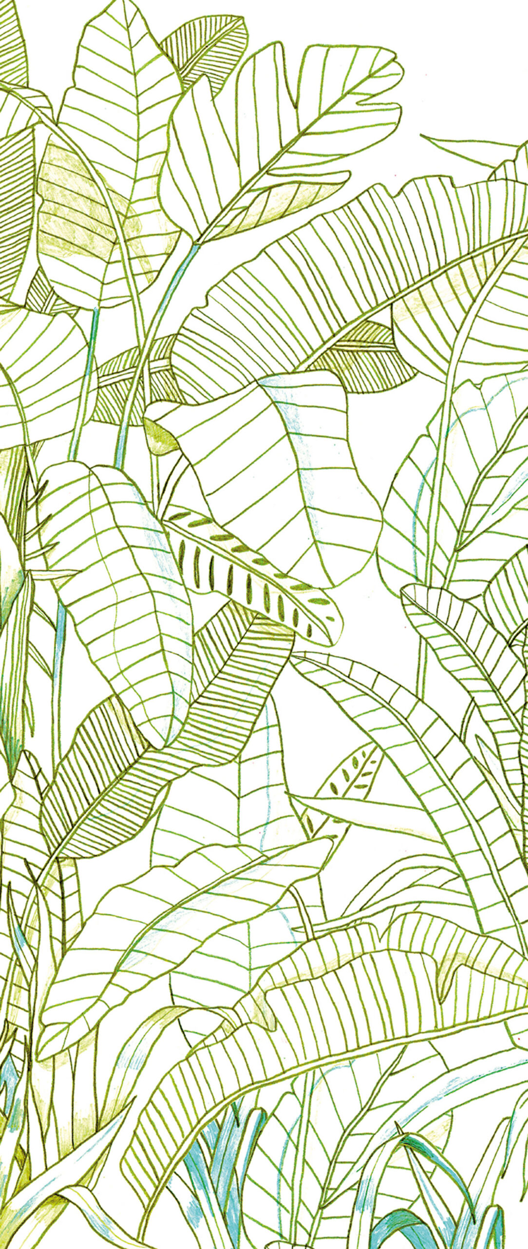 Green wall mural, Leaves, DG3GRA1013, Wall Designs III, Khroma by Masureel