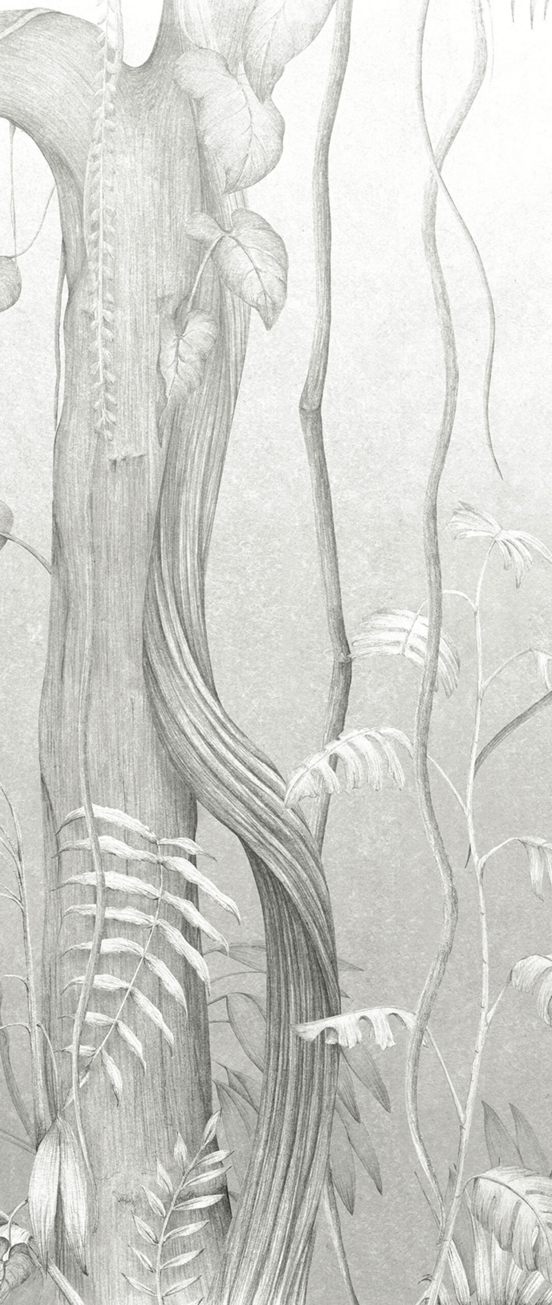 Gray wall mural, Leaves, trees, DG3MOE1012, Wall Designs III, Khroma by Masureel