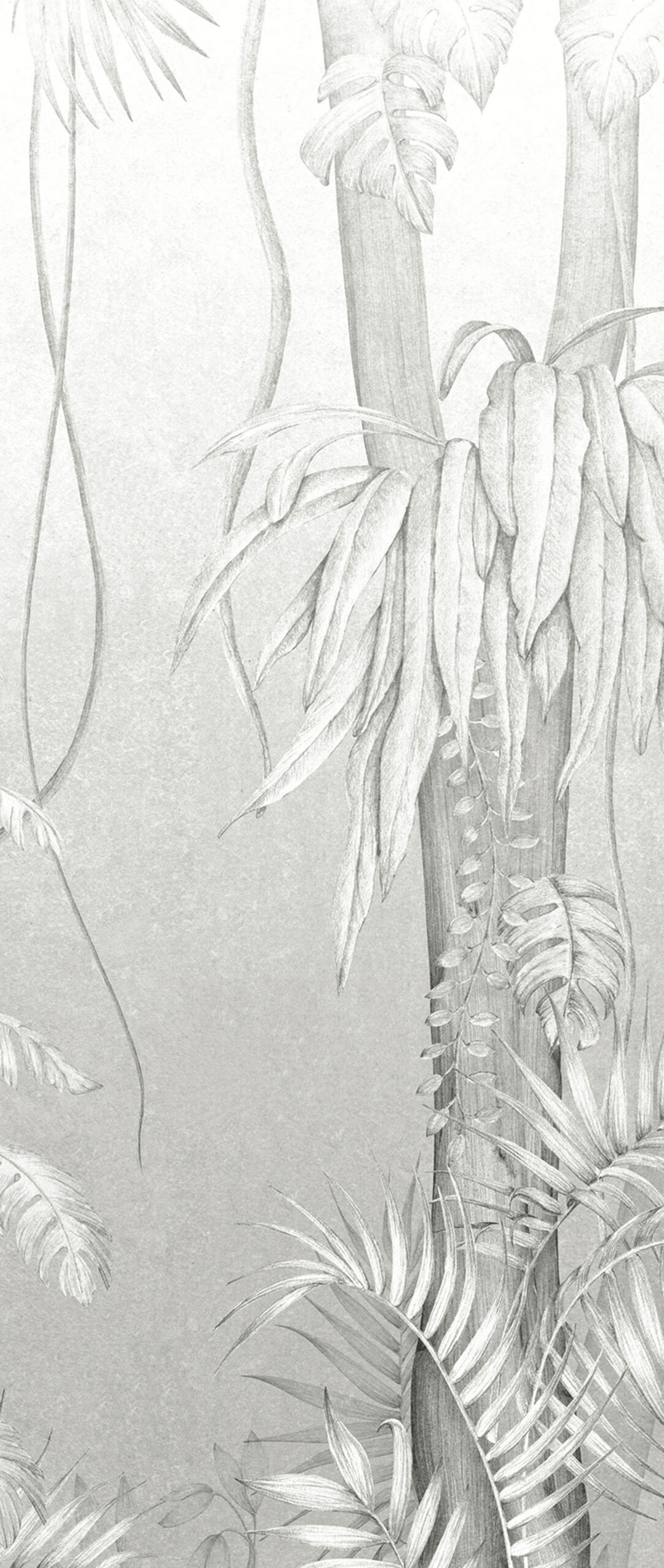 Gray wall mural, Leaves, trees, DG3MOE1013, Wall Designs III, Khroma by Masureel