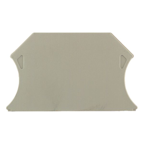 end plate terminals 56 mm x 1.5 mm dark beige 16803ab6 2