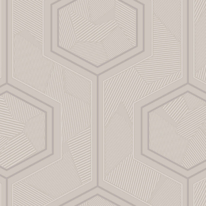 Luxury gray-white geometric wallpaper