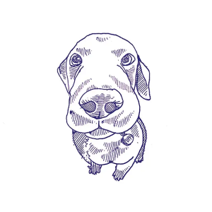 Stories Eddie Matte 4101303