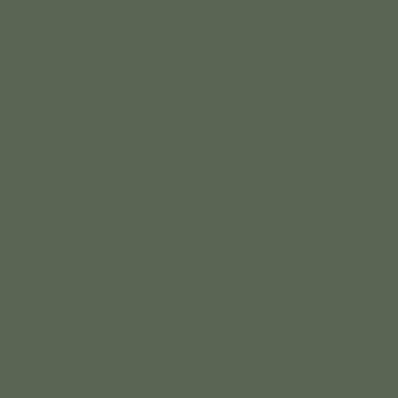 37 Military 4100835