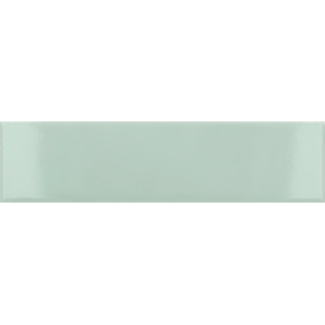 Aloe gloss 28443