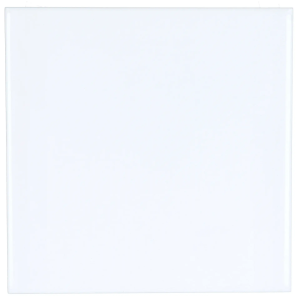 Evolution Blanco Brillo 20199