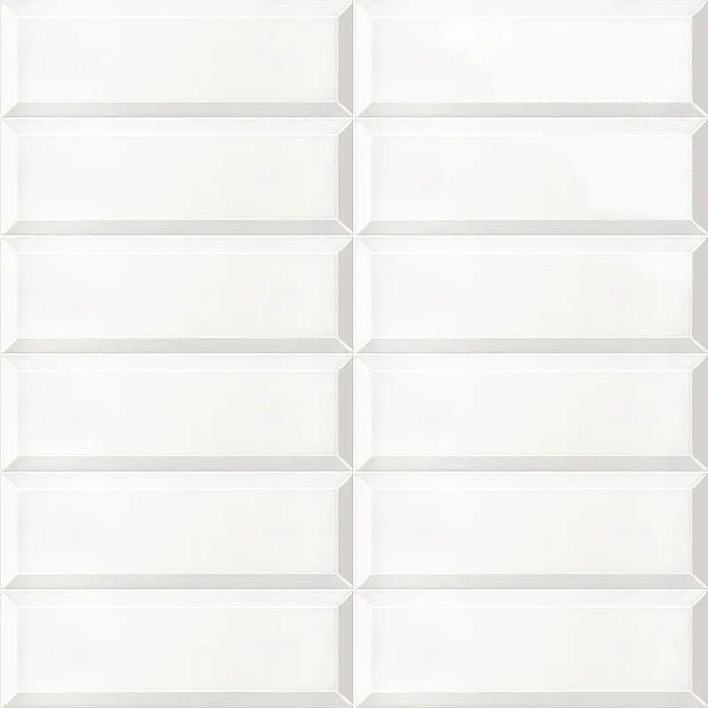 BISSEL BRILLO BCO PT03165