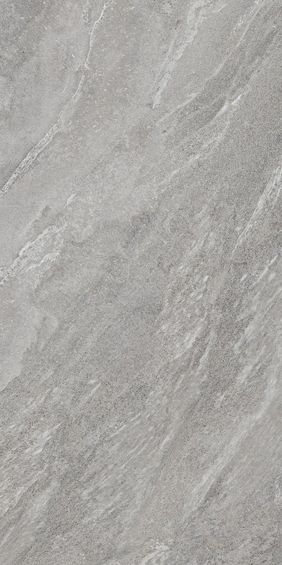 STROND DOLPHIN SP//R 38371