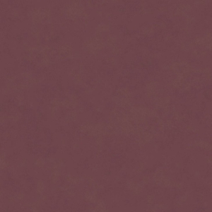 AQUACLEAN DAYTONA HP FR 153 TUMMA ROOSA