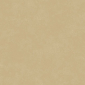 AQUACLEAN DAYTONA HP FR 151 KAMELI