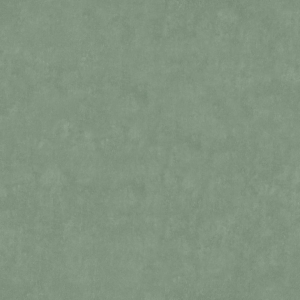 AQUACLEAN OASIS FR 155 TUMMA MINTTU