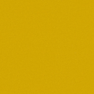 CAMIRA BLAZER II CUZ2W