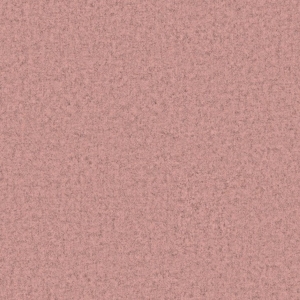 CAMIRA BLAZER II CUZ3T