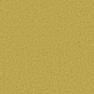 CAMIRA BLAZER II CUZ58