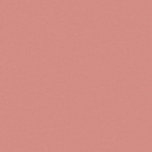 CAMIRA BLAZER II CUZ4Q