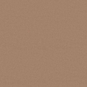 CAMIRA BLAZER II CUZ4X