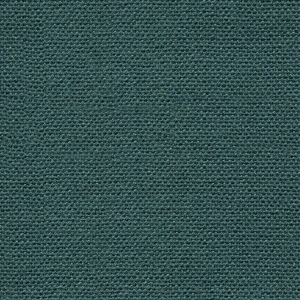 CAMIRA MAIN LINE PLUS IF231