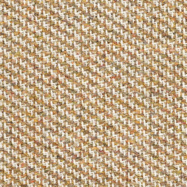 CAMIRA REVOLUTION REV10