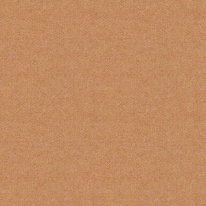 CAMIRA SYNERGY 170CM LDP18