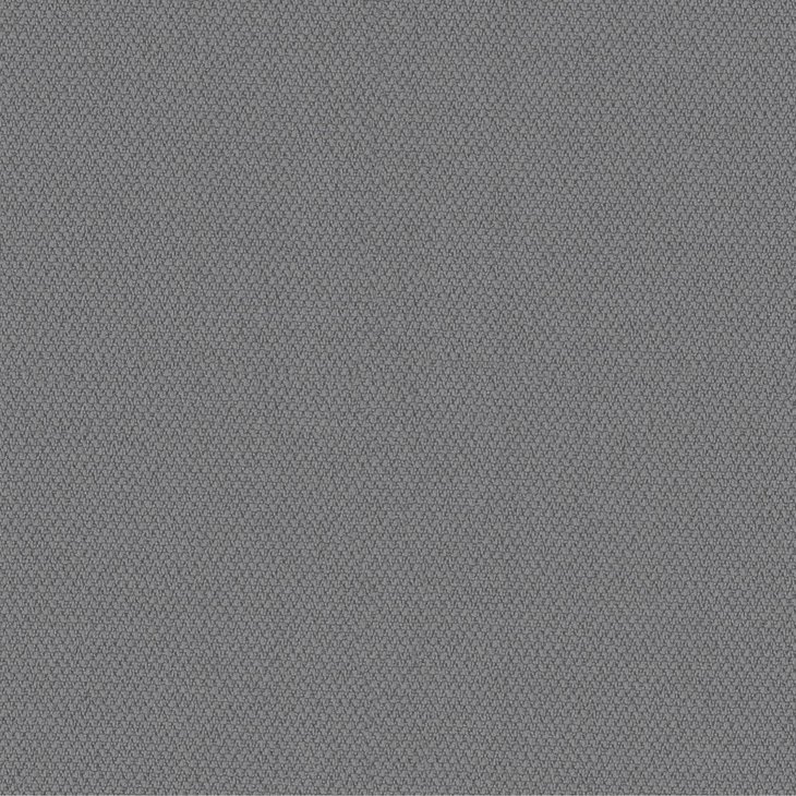 CAMIRA ERA 170-CSX11