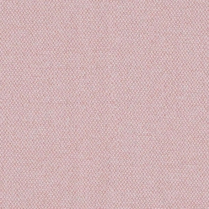 CAMIRA ERA 170-CSX19