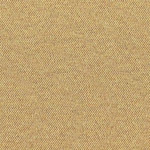 CAMIRA ERA 170-CSX31