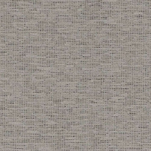 CAMIRA GRAVITY-CPC17