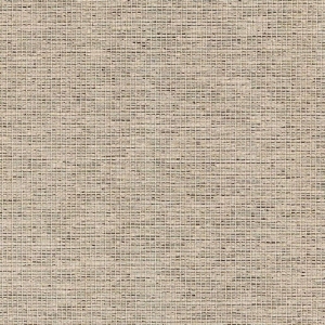 CAMIRA GRAVITY-CPC21